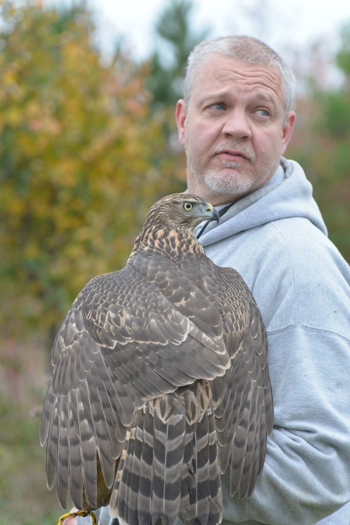 m15 art story Al Jordan with one of his hawks.jpg